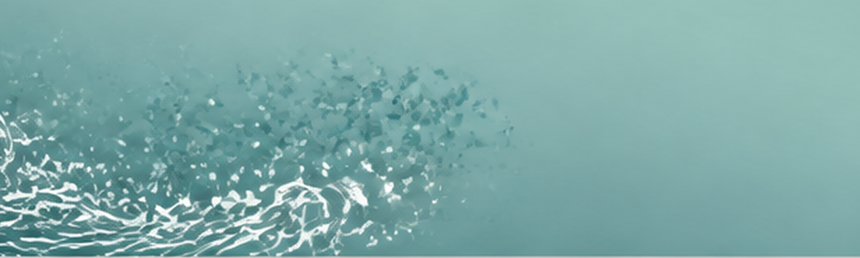 img55.png