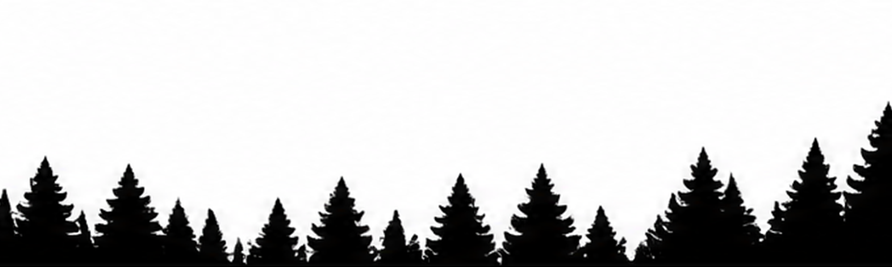 img8.png