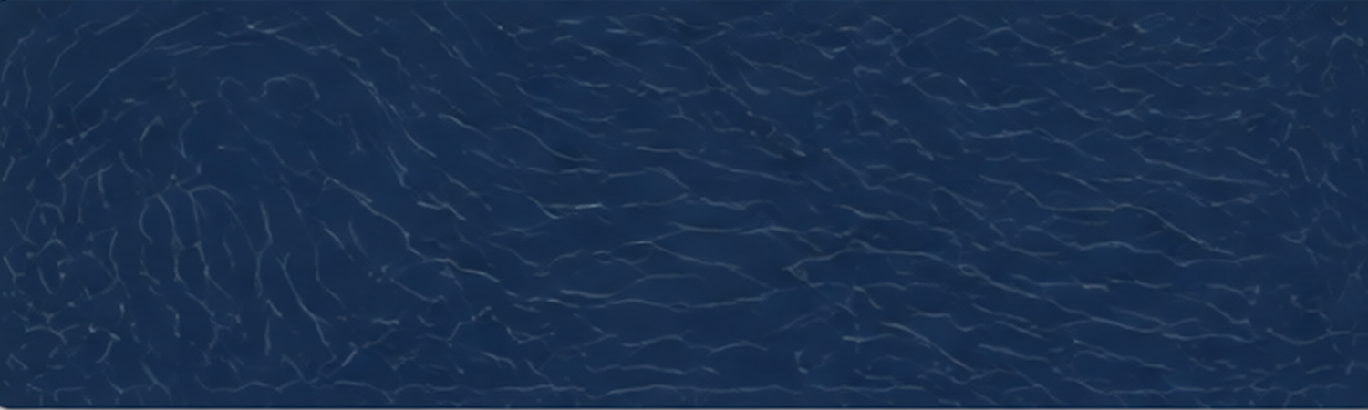 x3.png