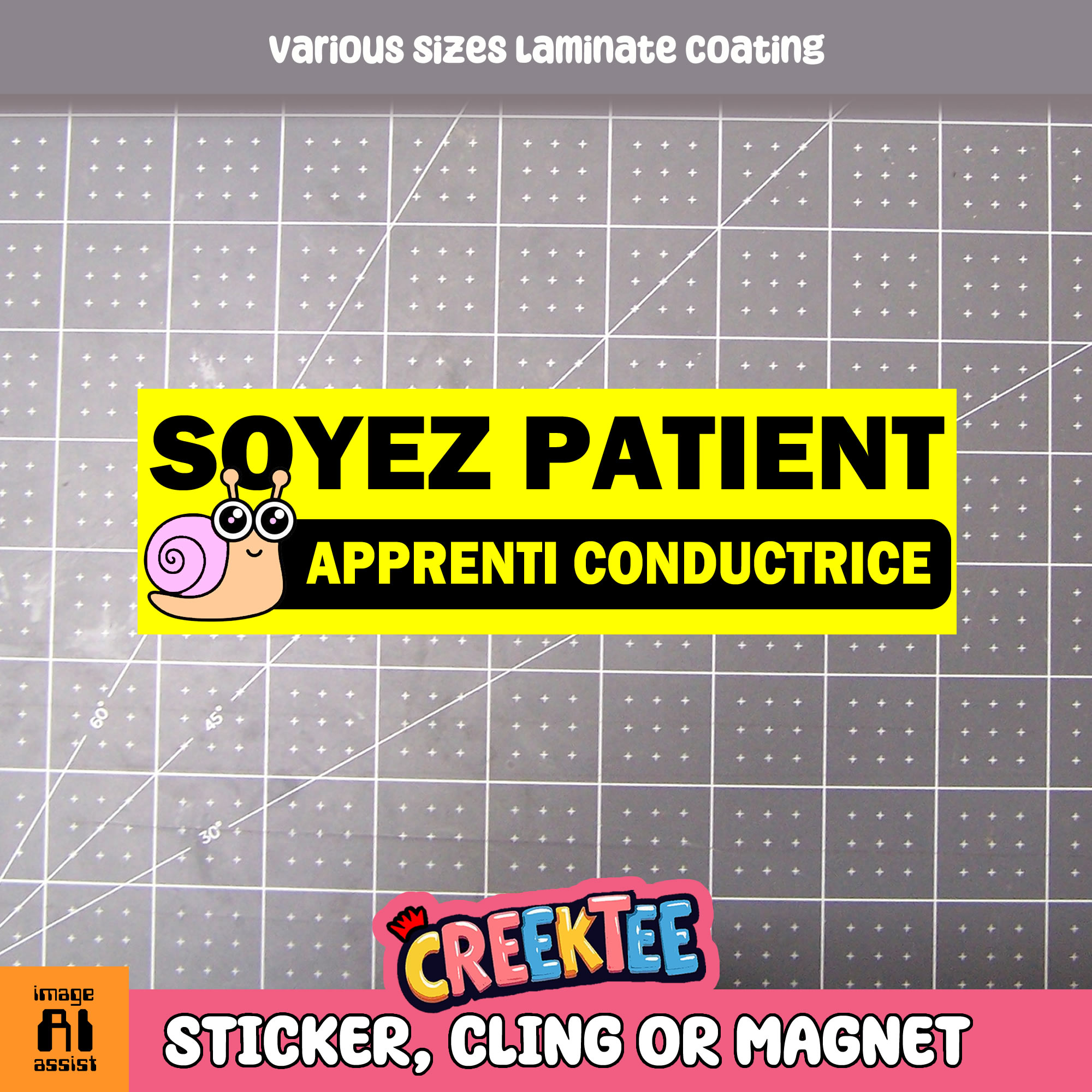 Soyez Patient Apprenti Conductrice Vinyl Bumper Sticker  Window Cling or Magnet in UV Laminate Coating and Various Sizes