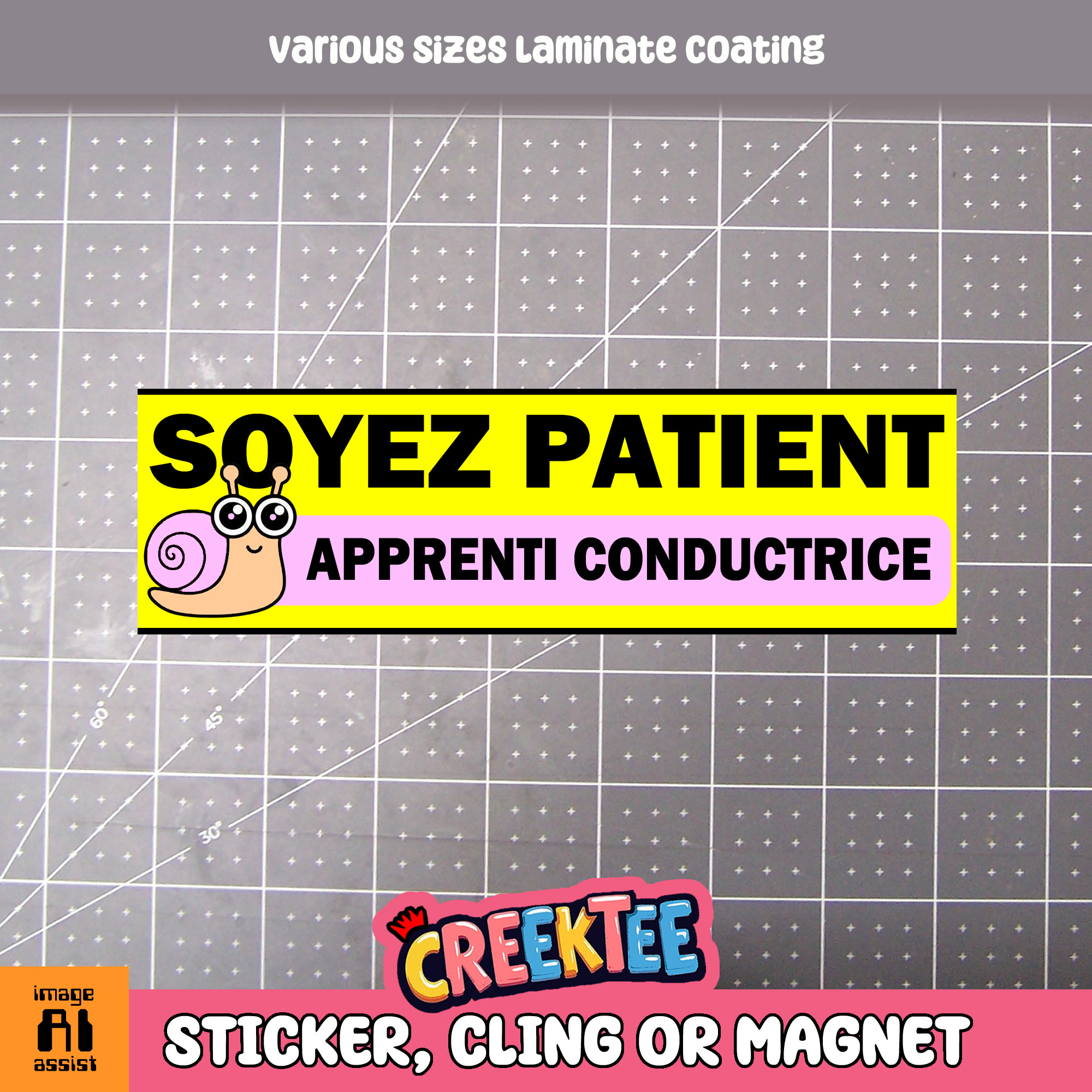 Soyez Patient Apprenti Conductrice Vinyl Bumper Sticker  Window Cling or Magnet in UV Laminate Coating and Various Sizes